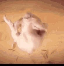 1669297627648511858601001.gif