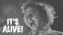 1628377331869-958171317001.gif