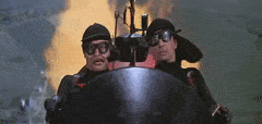 HighlevelAdoredFinwhale-max-1mb.gif