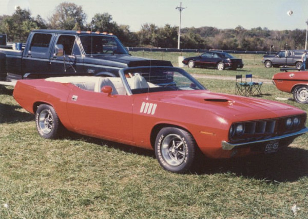barracuda01.jpg