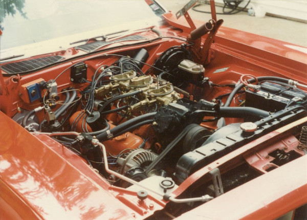 barracuda04.jpg