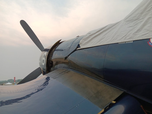 20230724_190122.jpg