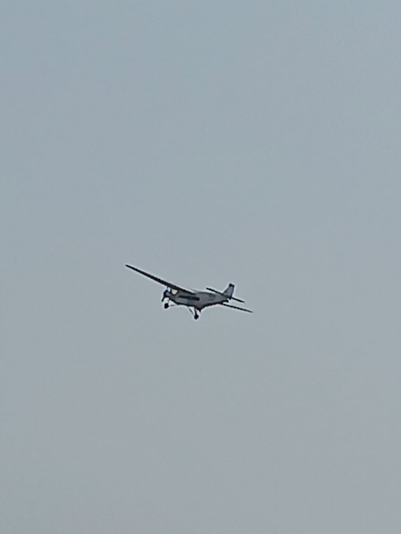 20230725_113511.jpg