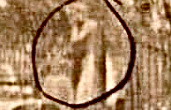 811B5B14-96E0-4B4A-ABA8-8029D63E4629.jpeg