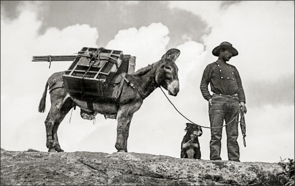 whjackson-with-mule-and-dog_orig.jpg