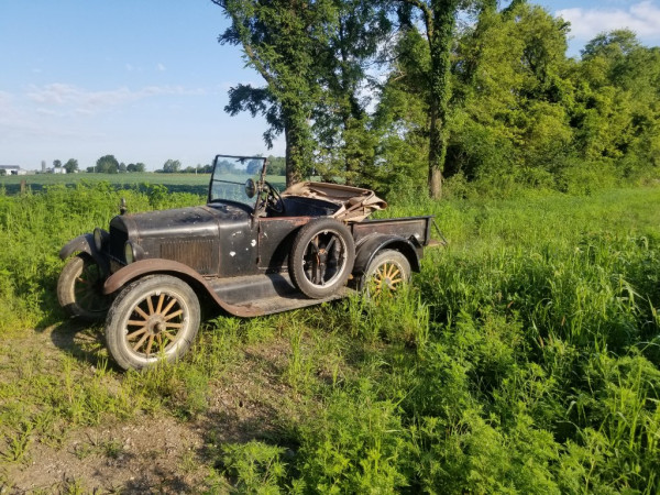 20230730_084223.jpg