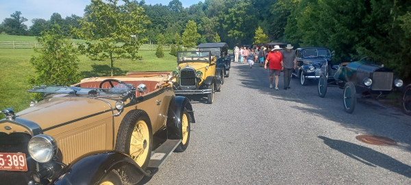 20230729_085045.jpg