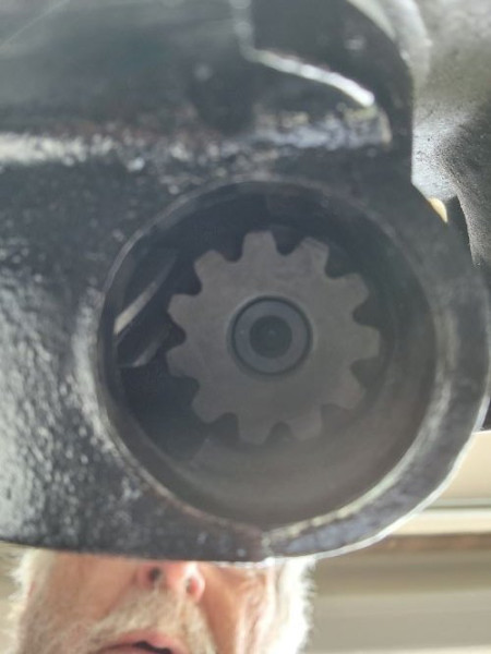 bottom view.jpg