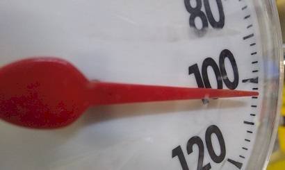 temp.jpg