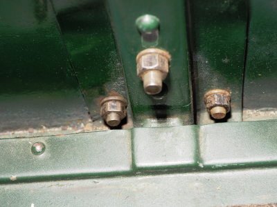 trunk 786182.jpg