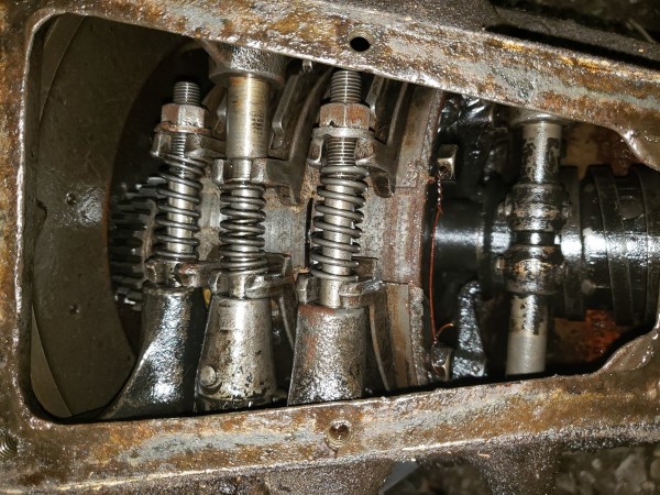 20190527_113434.jpg