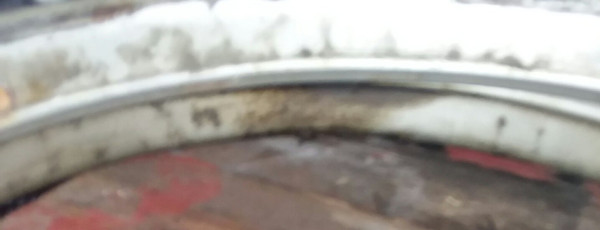 20230825_162246.jpg