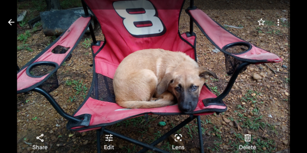 Screenshot_20230828-073843.png