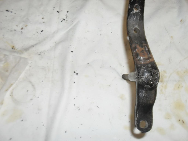 SDC13271.JPG