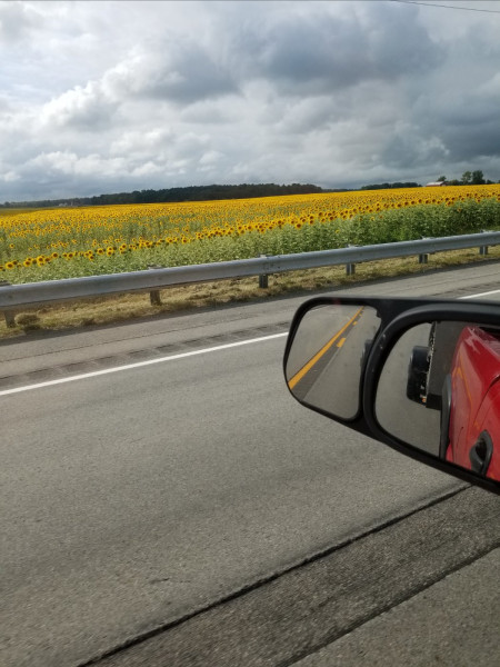 20230909_063402.jpg