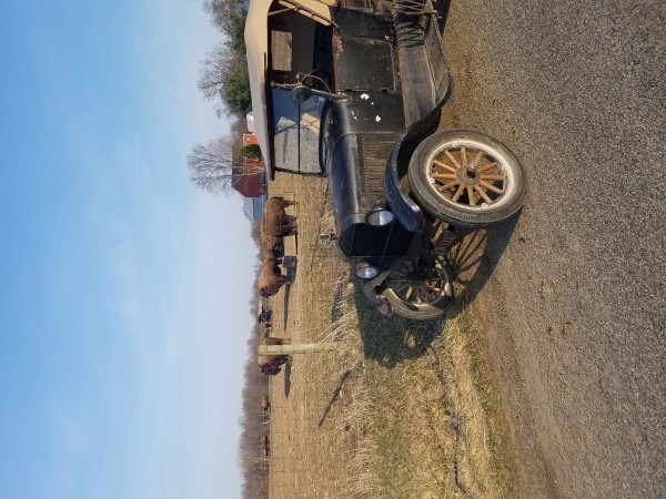 20180412_190342.jpg