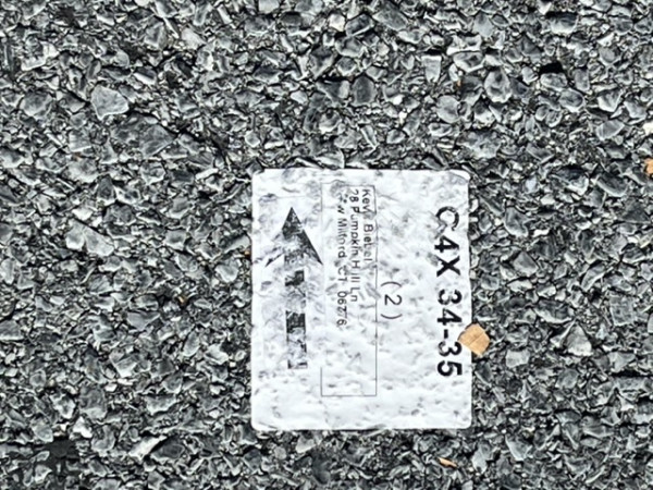 IMG_3791.jpeg