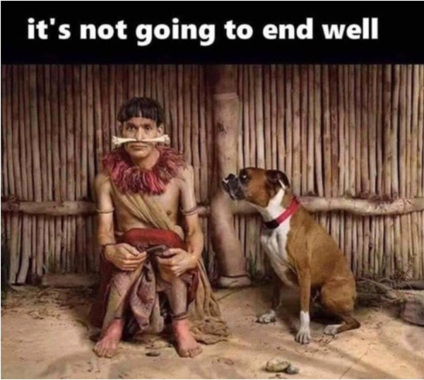 dogbone.jpeg