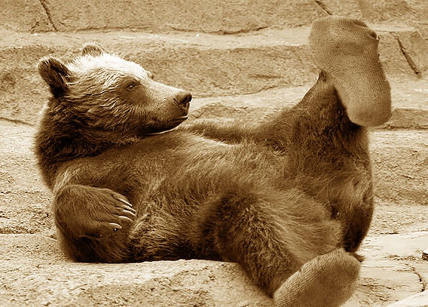 Bearfoot.jpg