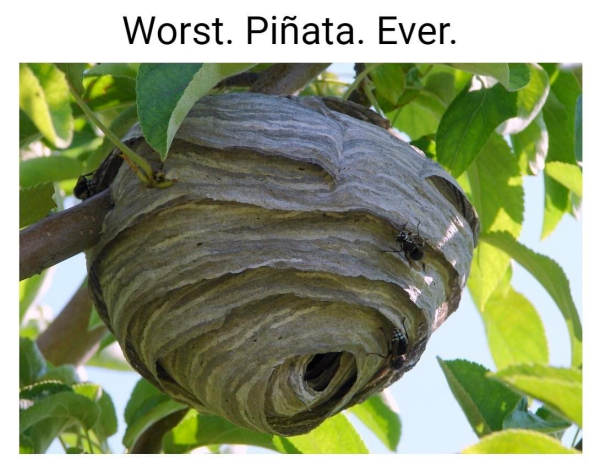 bba10ccbef17caba.png