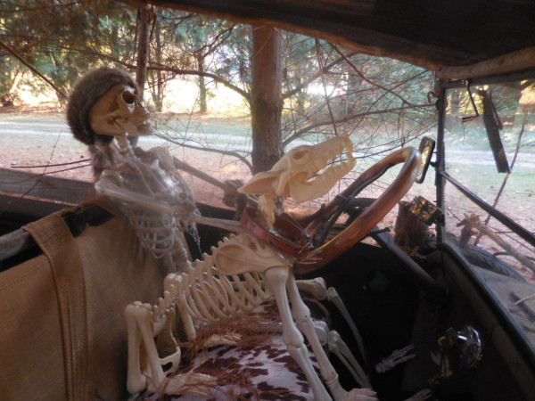 T skelton2.JPG