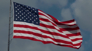 Flag 1.gif
