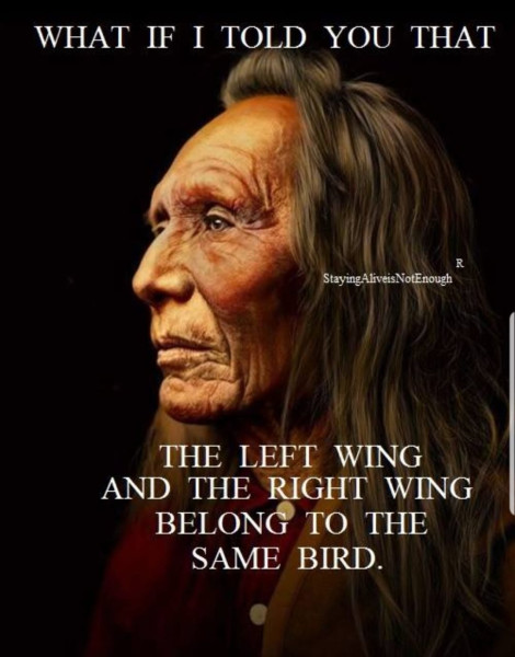 wings same bird.jpg