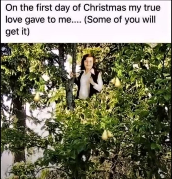 Xmas.jpg