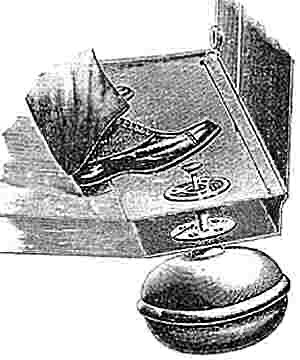 IMG_2257.jpeg