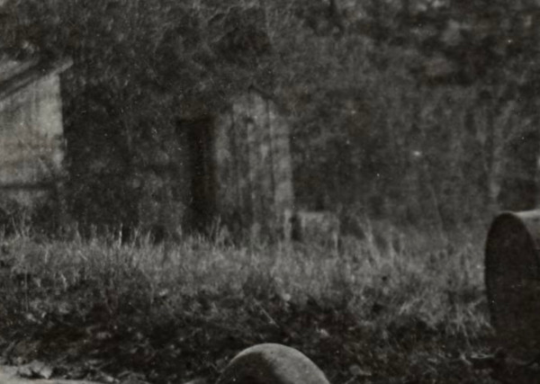 IMG_2391.jpeg