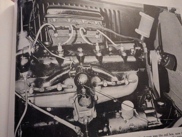 PXL_20240127_234616746.jpg