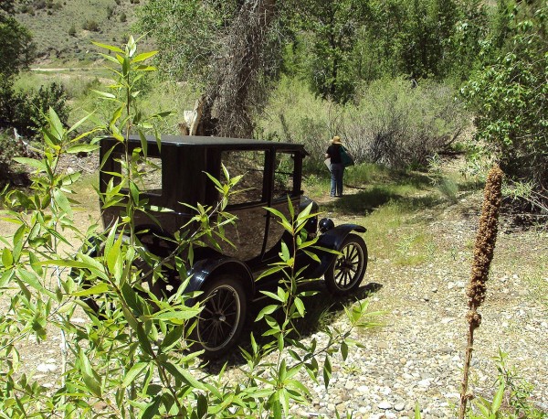OffRoad.jpg