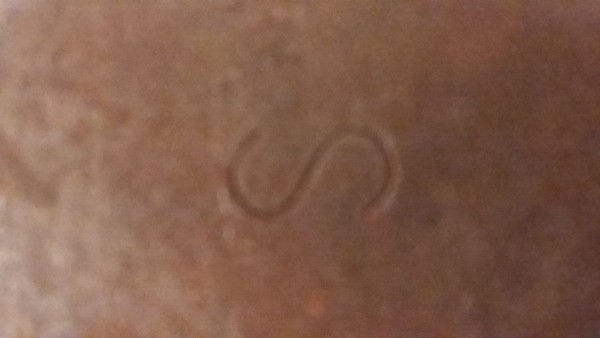20190611_204841.jpg