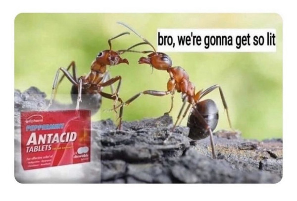 ed057758e7ce3ce6.jpeg