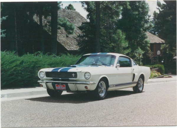 Shelby4.jpg