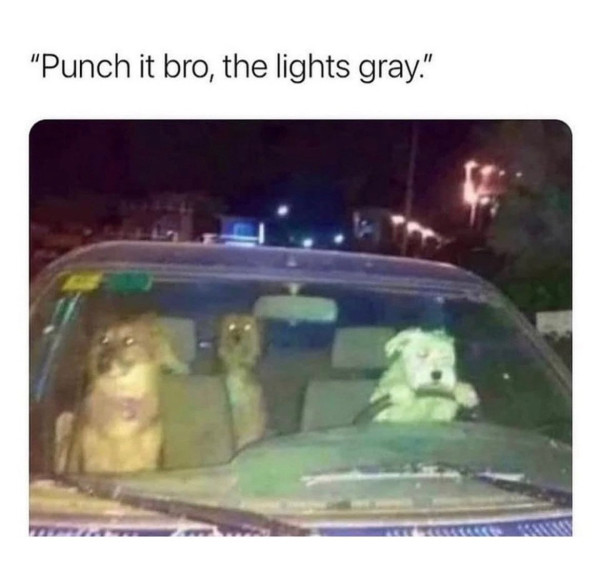 4b66be585e6f7984.jpeg