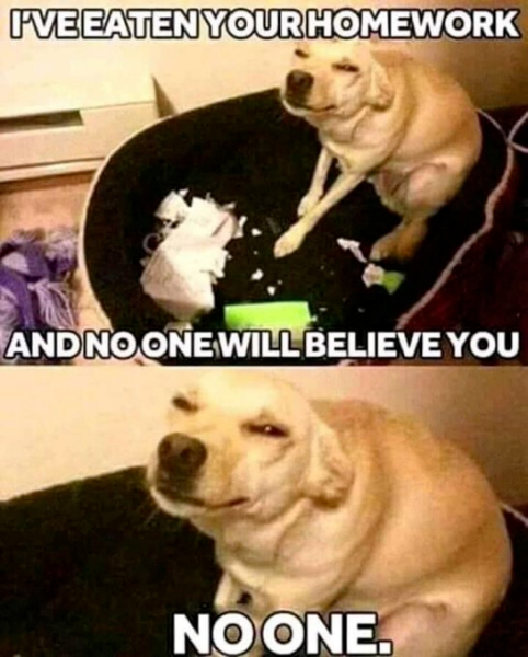 c6dde6a524933e6f.png