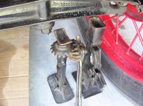 Worm vs Flip Top jackIMG_3702.JPG