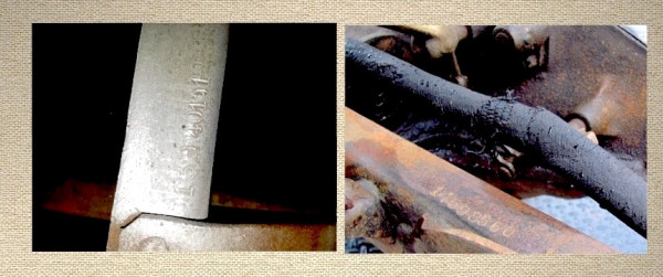 Collage8.jpg