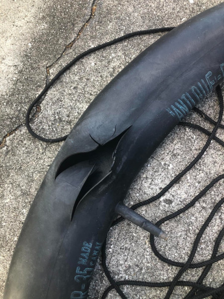 Inner Tube.jpg