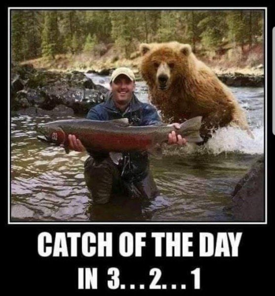 catch of the day.jpeg