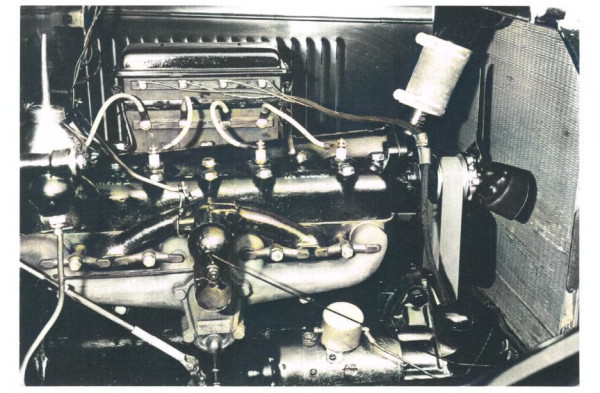 590057.jpg