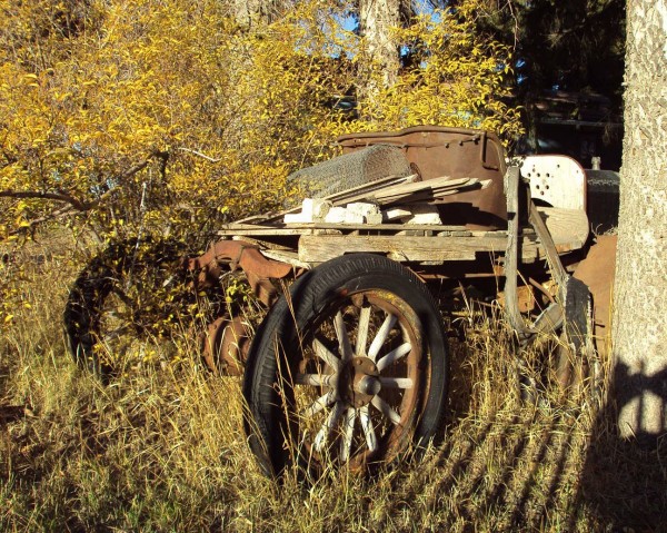 Fall02.jpg