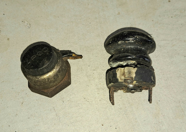 HORN BUTTONS.jpeg