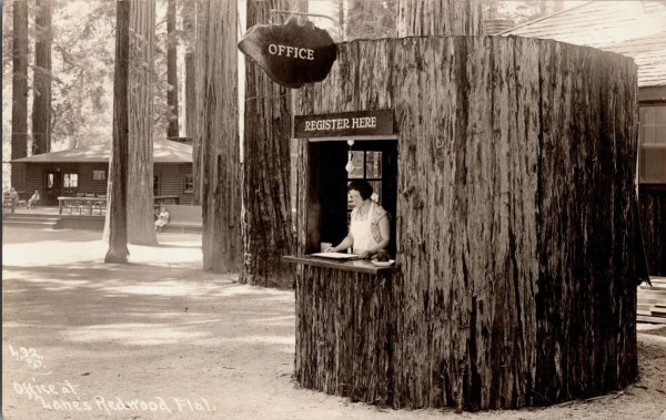 redwood flats.JPG