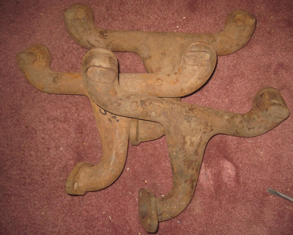 timani01.jpg