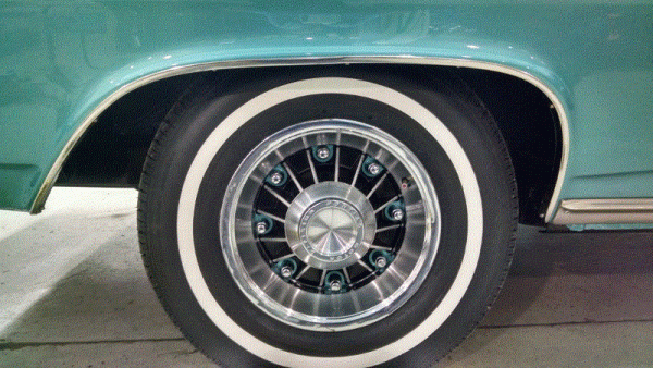 IMG_20190616_110341877_HDR (800x450).gif