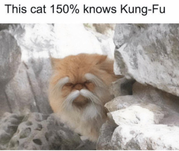 c6b351c39ace2c01.jpeg
