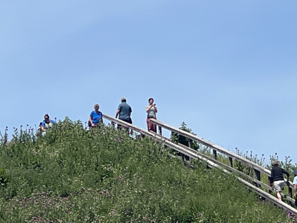 IMG_3398.jpeg