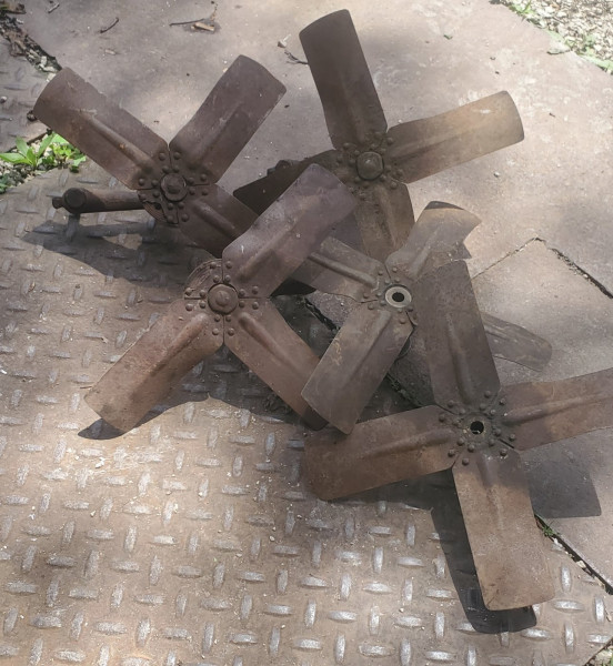 20240605_122936.jpg